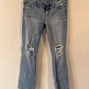 Buckle Blue Boot Cut Jeans with Distressed Details